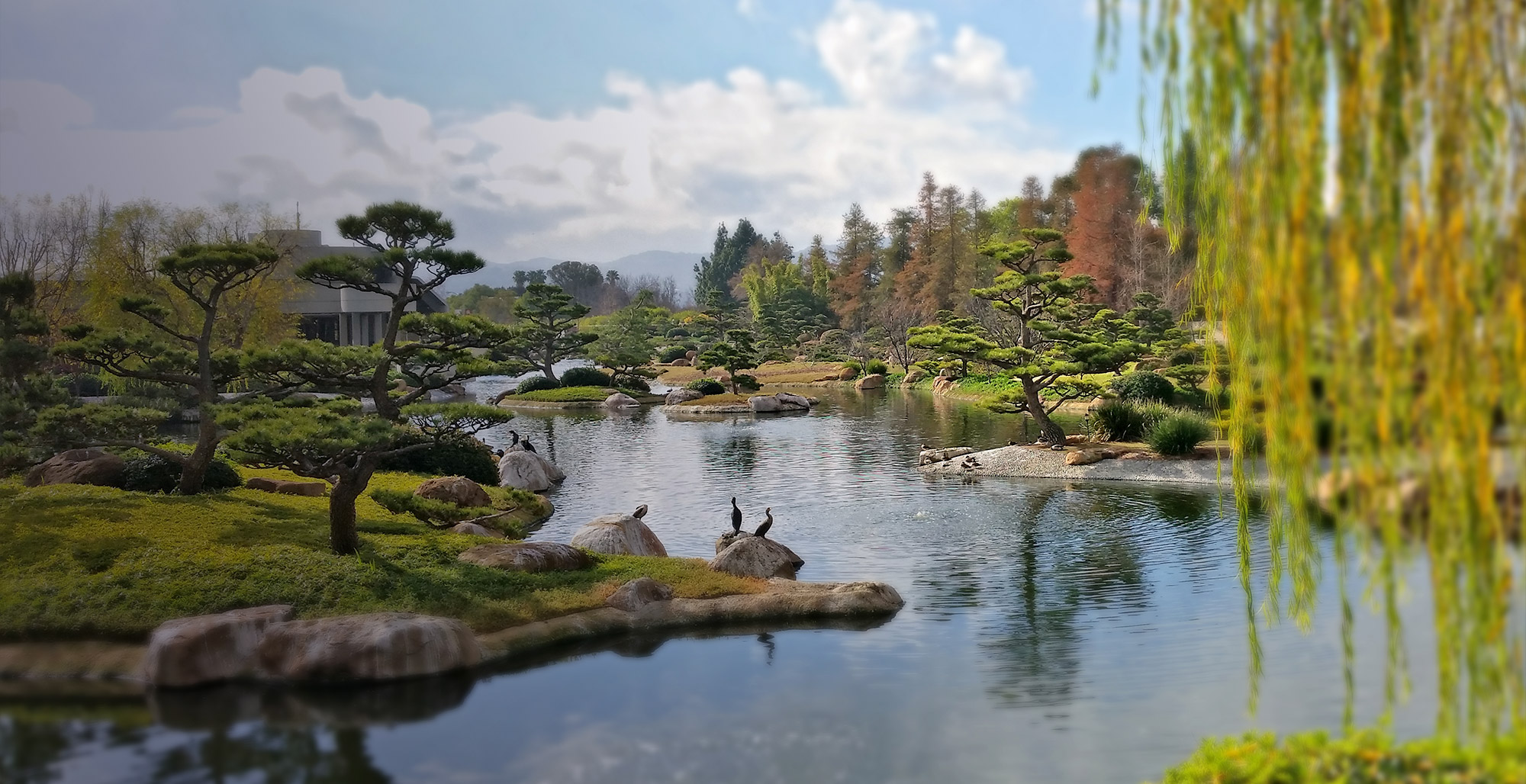 Los angeles japanese garden